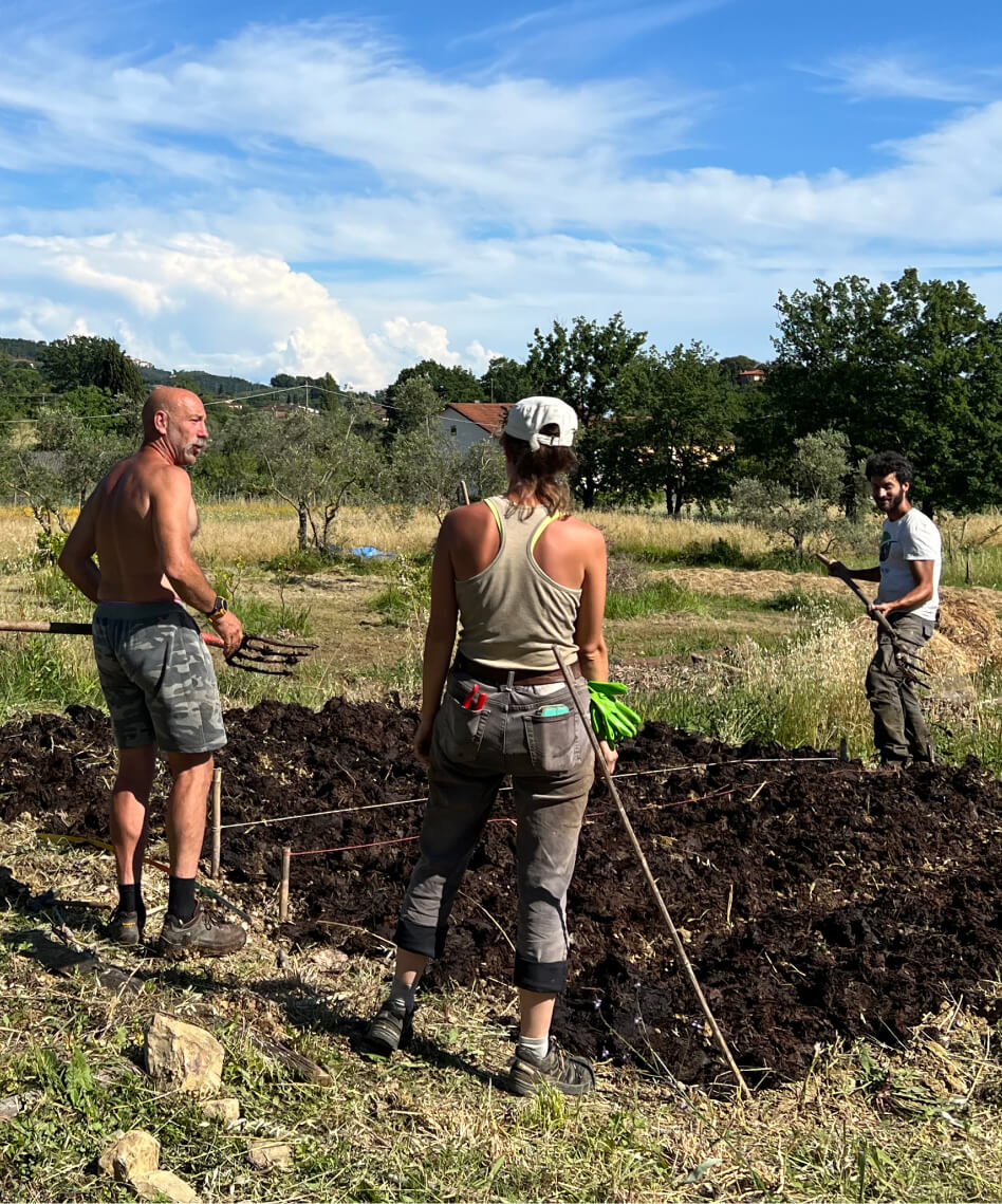 L'orto di Podere Le Vispe